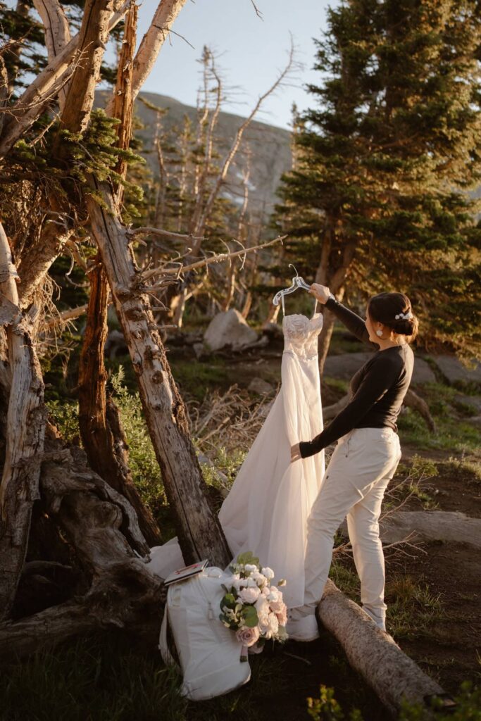 Bride and her wedding dress