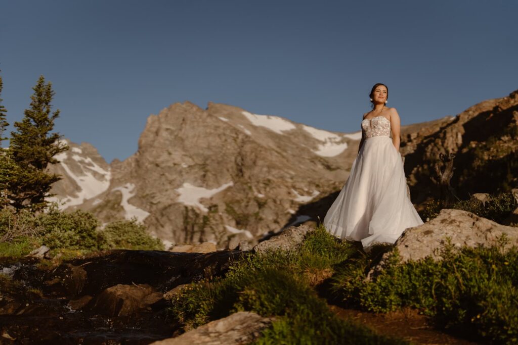 Bridal portrait