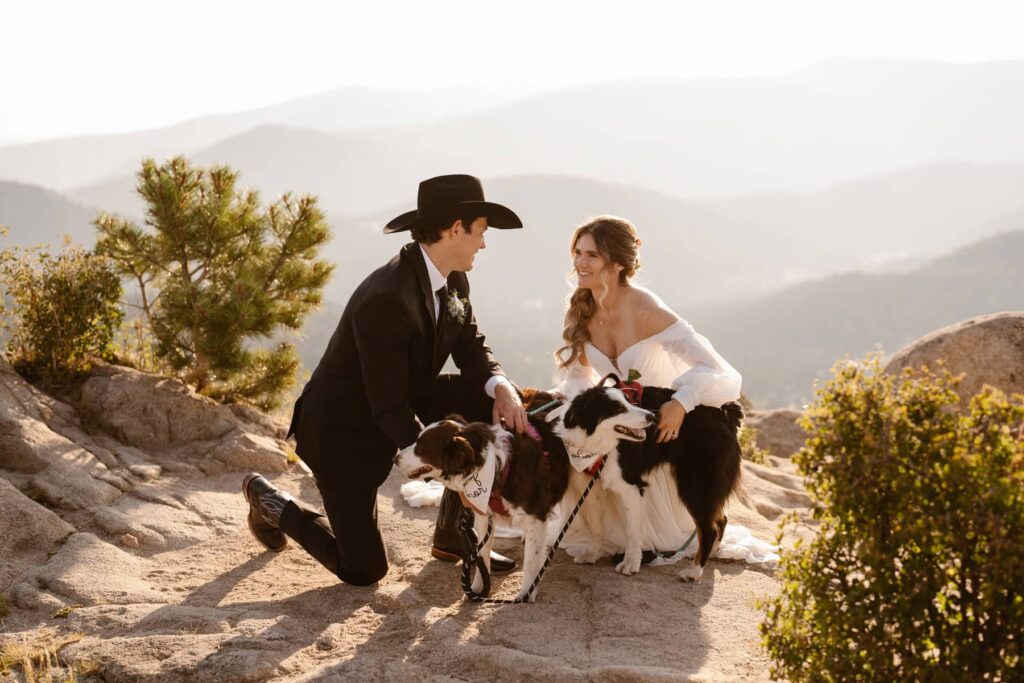 Bride, groom, and their two dogs