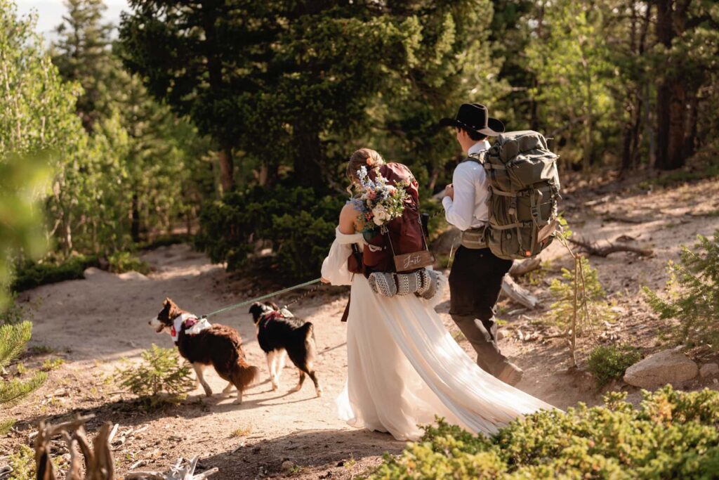 Bride and groom with backpacks and two dogs