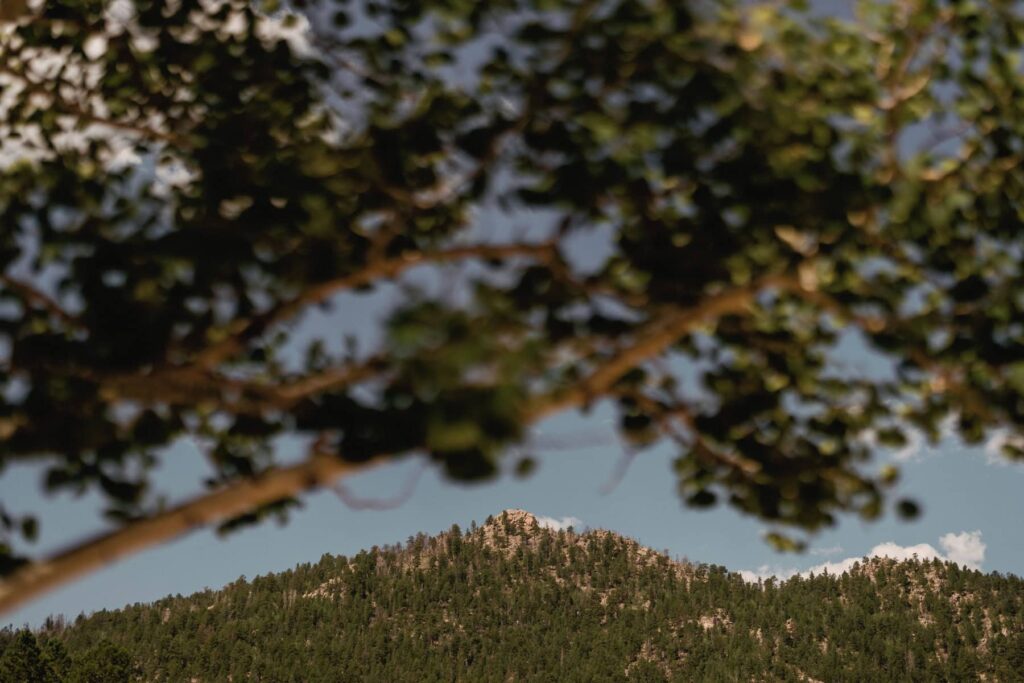 View of Kruger Rock from Hermit Park pavilion