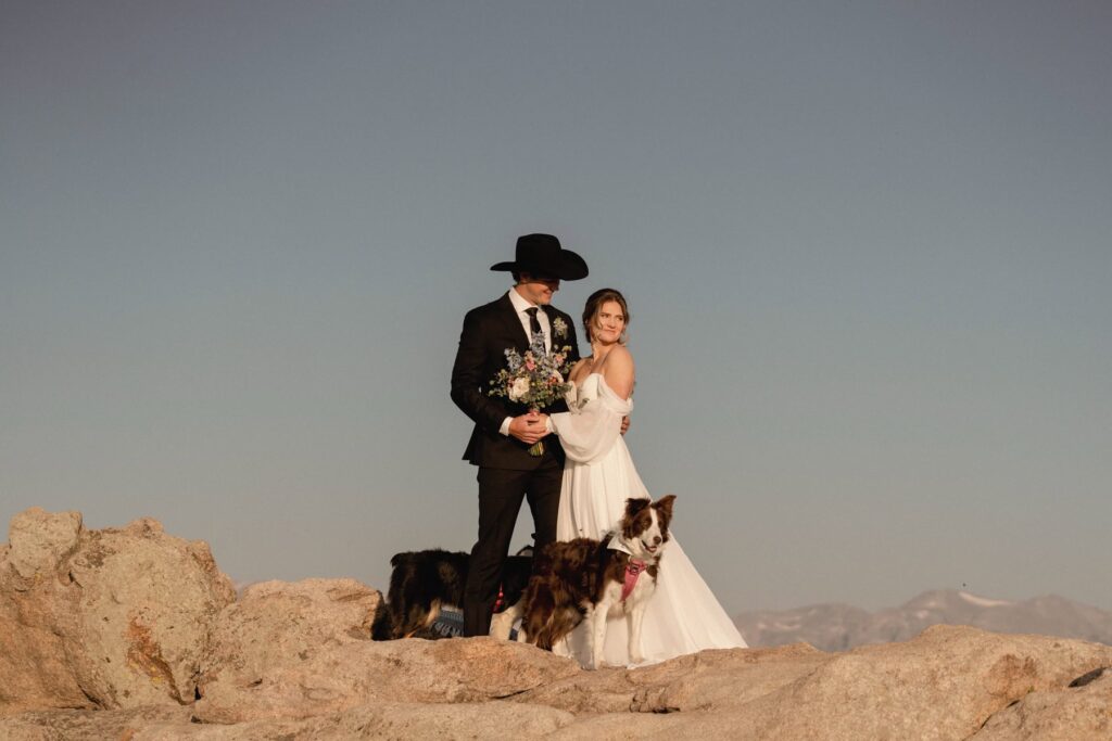 Bride and groom photos with dogs