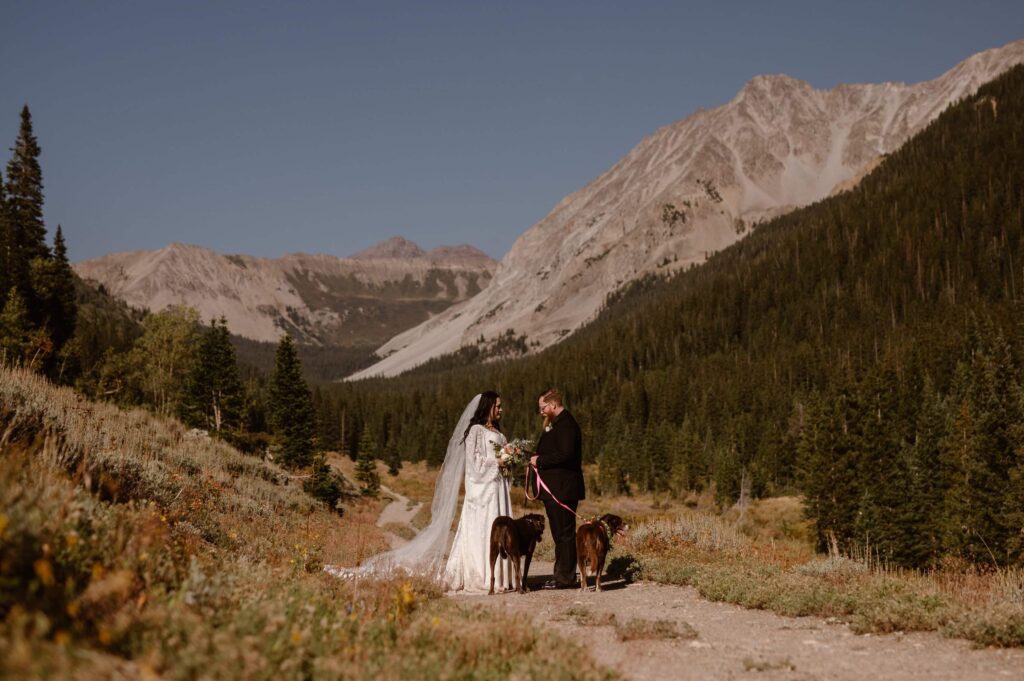 Bride and groom in the mountains with their dogs