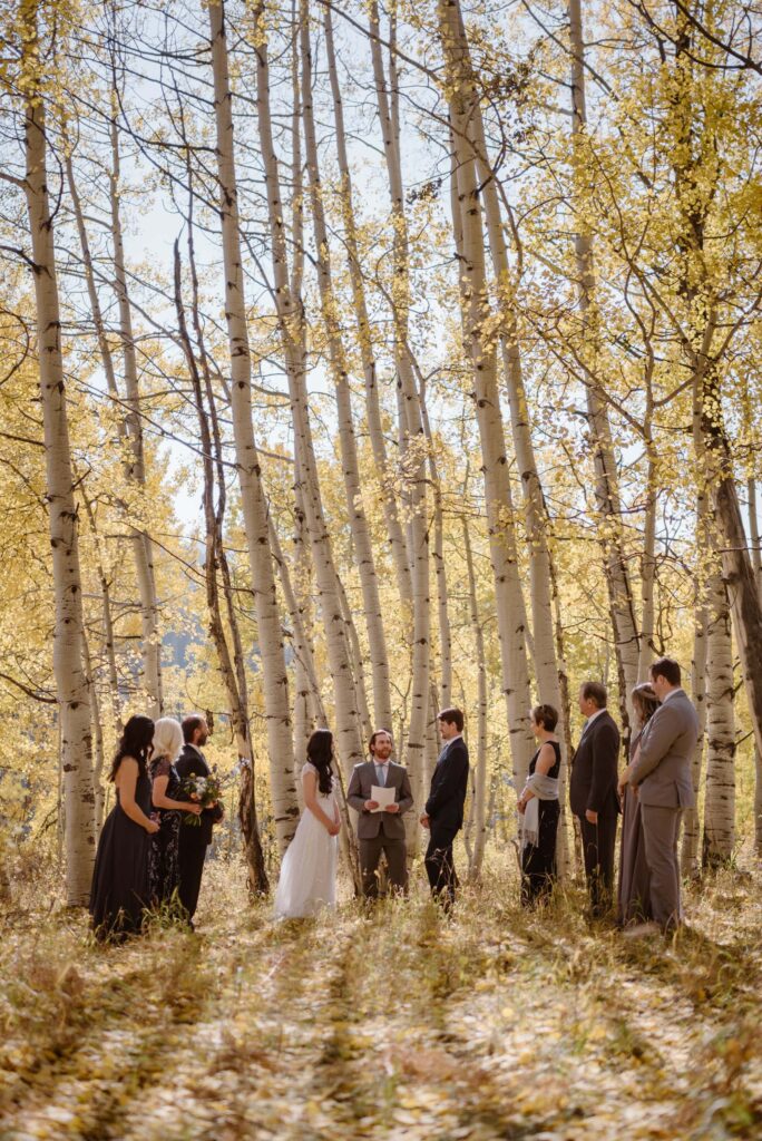 Intimate wedding ceremony in Crested Butte