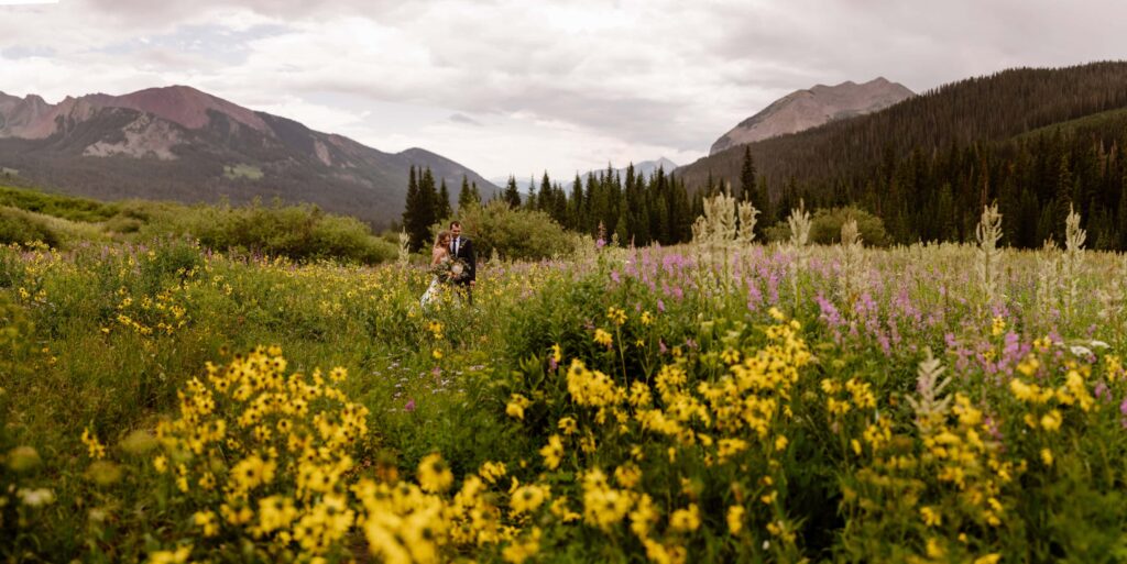 Wildflower season in Crested Butte