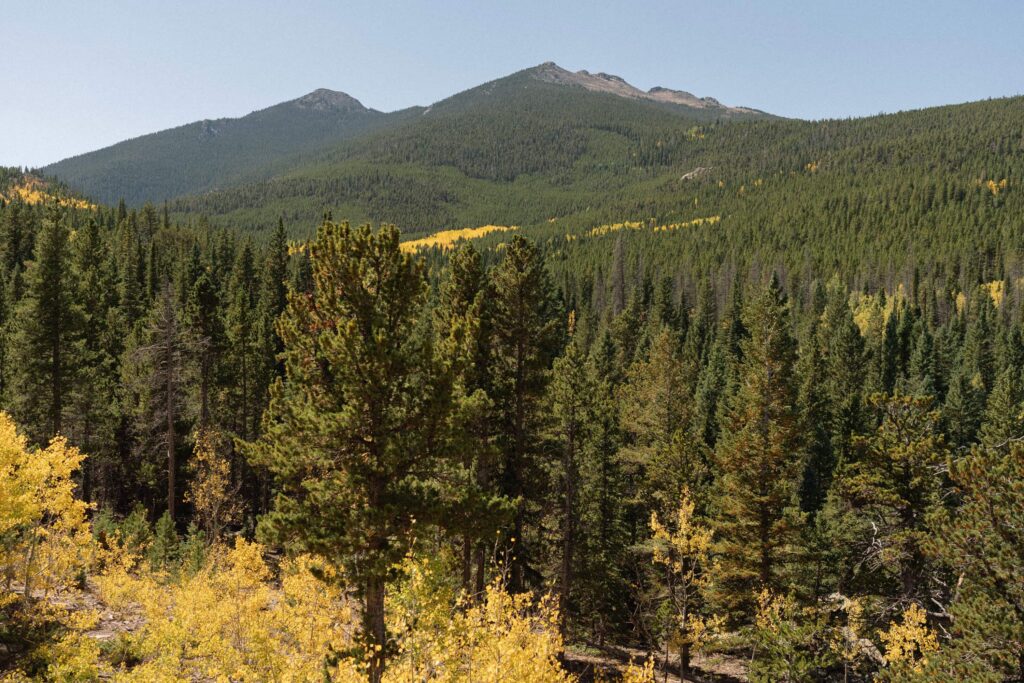 Remote Airbnb in Estes Park for a wedding