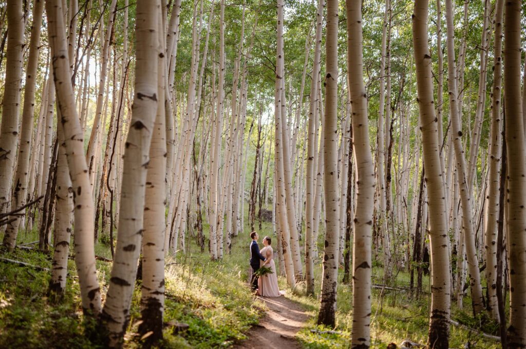 Colorado Elopement Location in the Forest