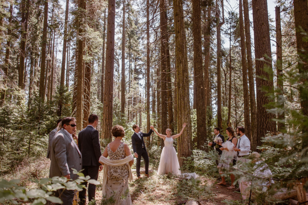 Intimate wedding ceremony in the Redwoods