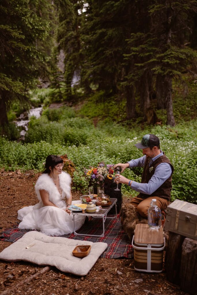 Colorado wedding picnic