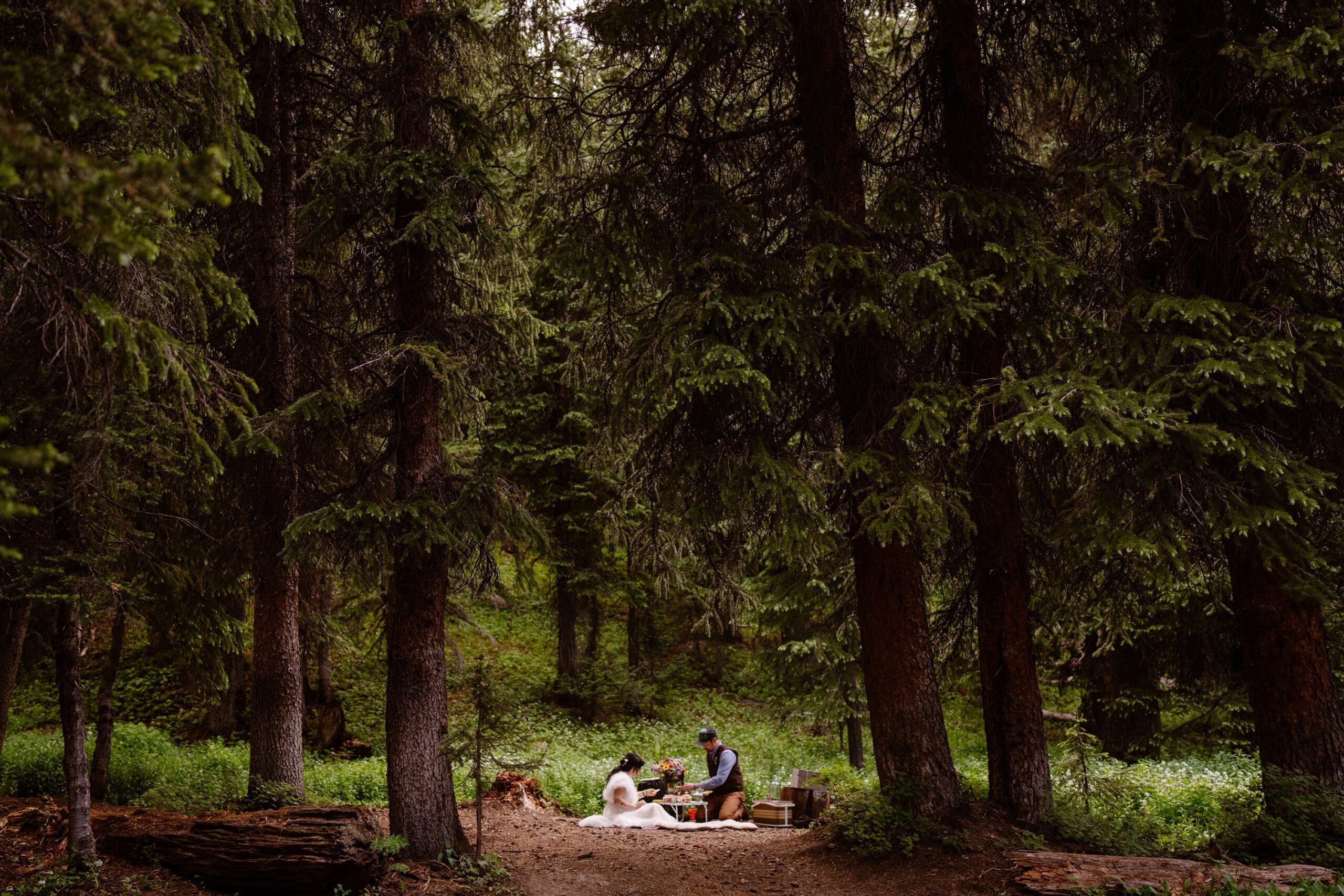 Colorado wedding vendors