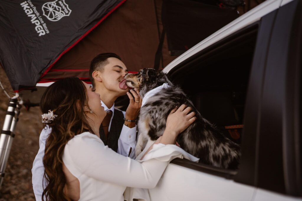 Estes Park wedding with dog