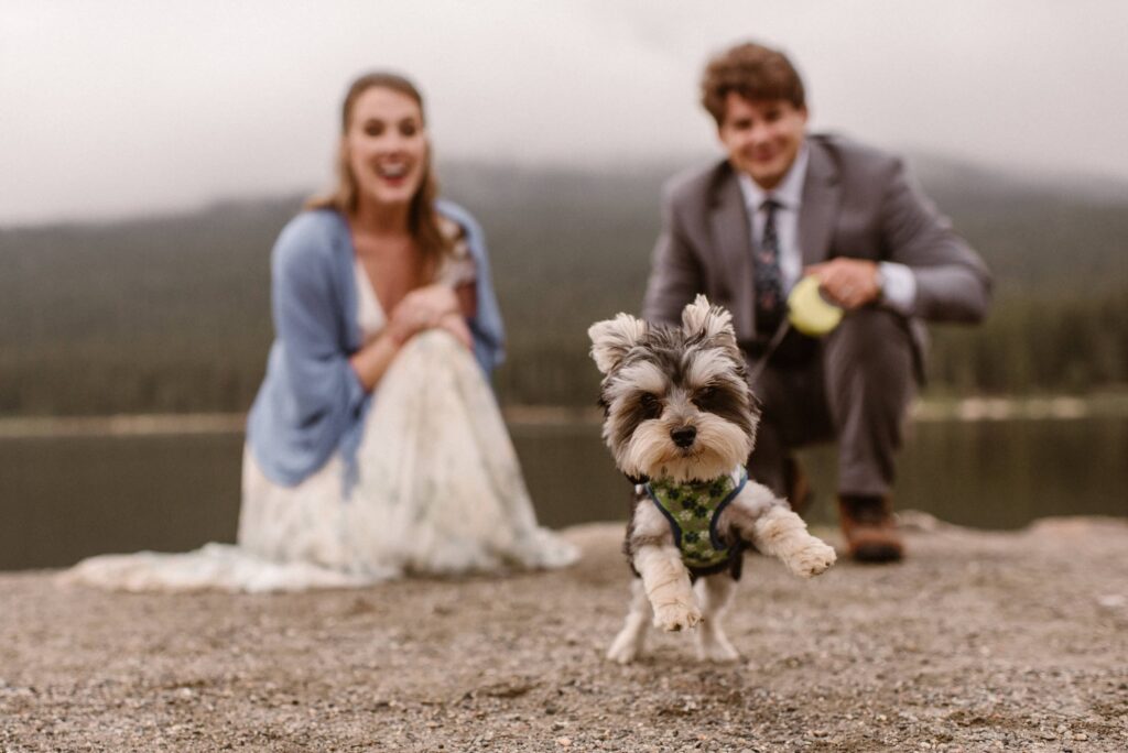 Estes Park dog wedding at Lake Estes