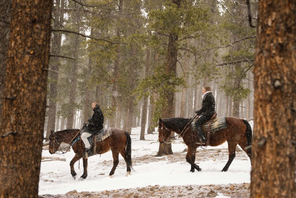 Horseback riding on trails through Estes Park