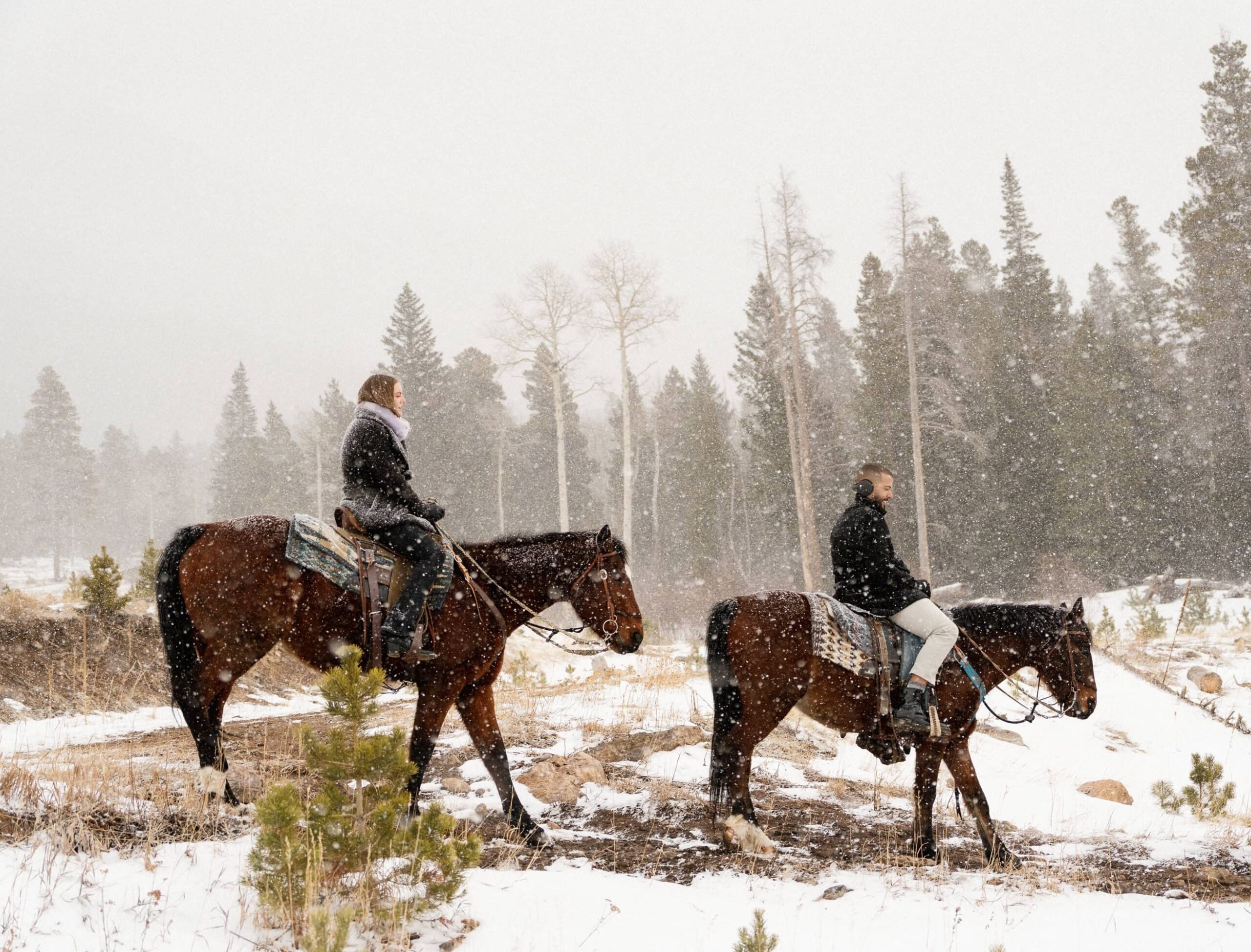 Horseback riding proposal surprise