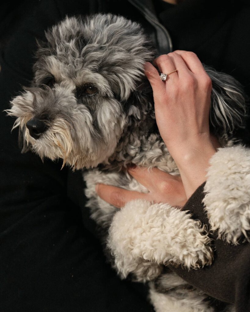 Dog and engagement ring