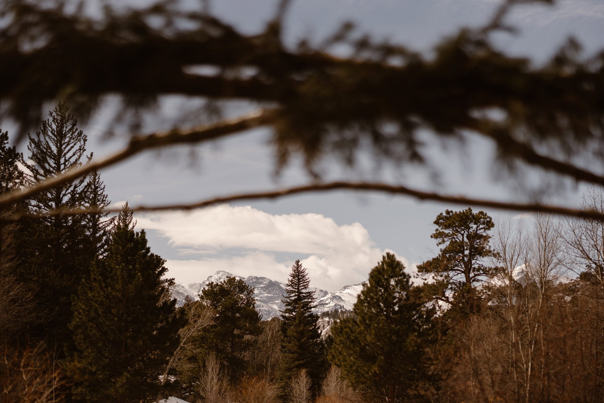 View from Romantic RiverSong Inn wedding ceremony site