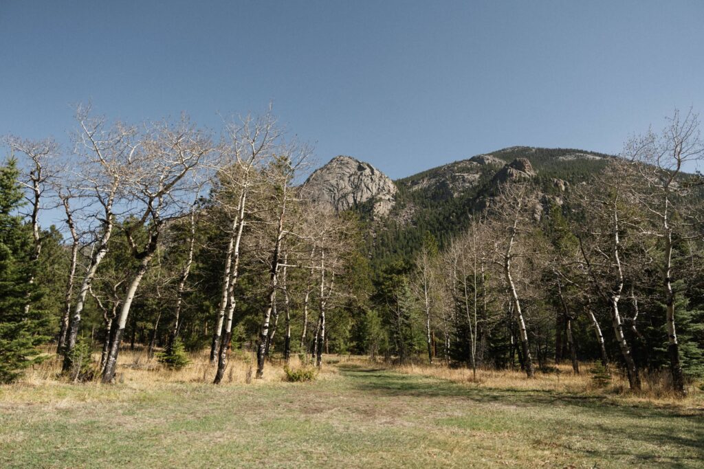 View from arch at Aspen Meadow ceremony site