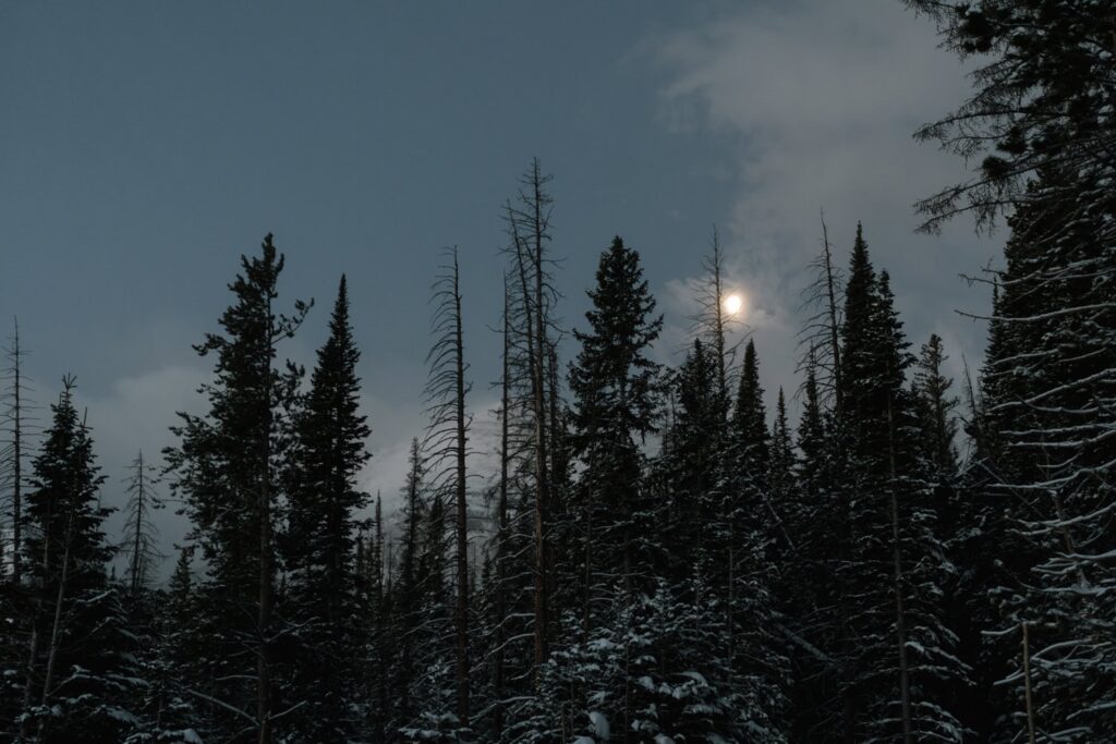Moonlight over Estes Park