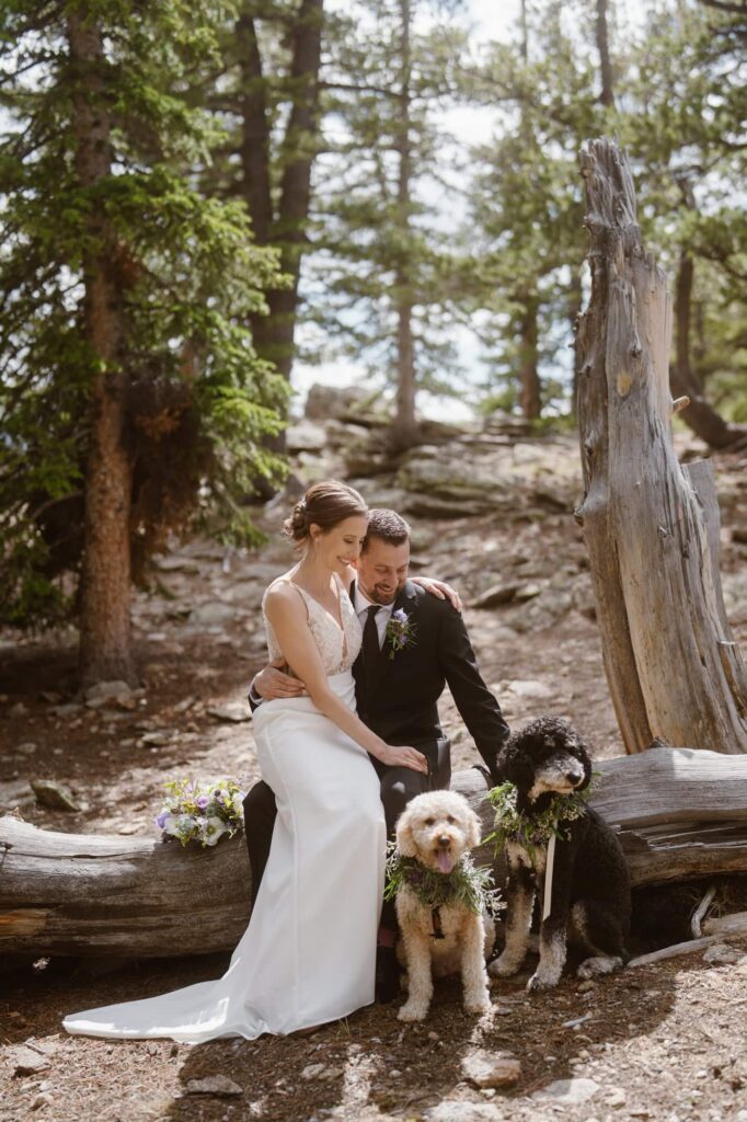 Bride and groom with dogs