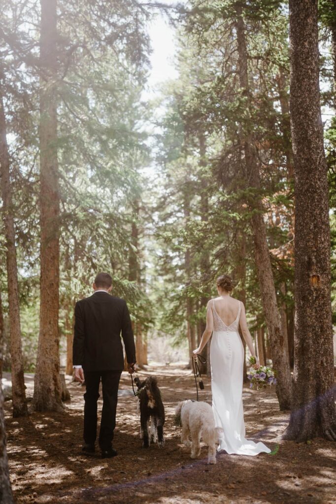 Wedding photos with dogs in the woods