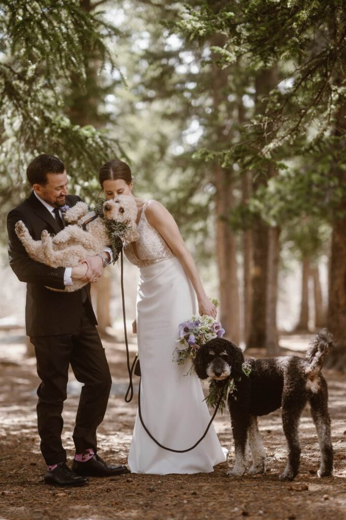 Bride and groom with dog photos