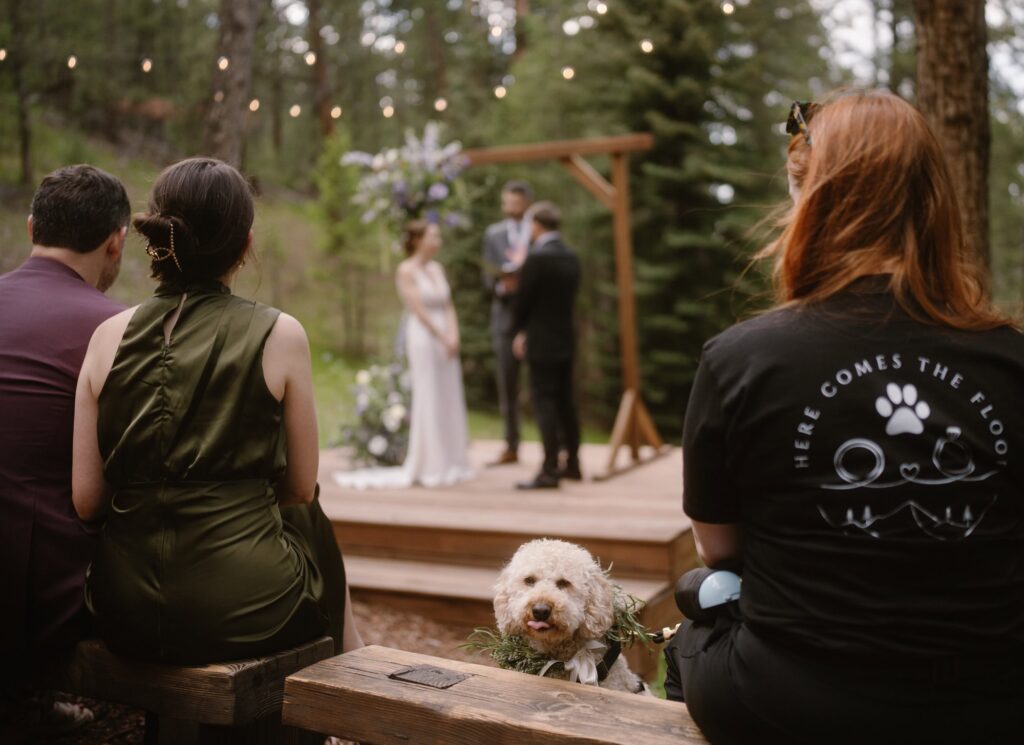 Dog with Here Comes the Floof at wedding ceremony
