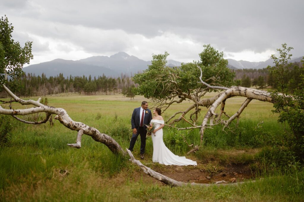 Upper Beaver Meadows wedding photos
