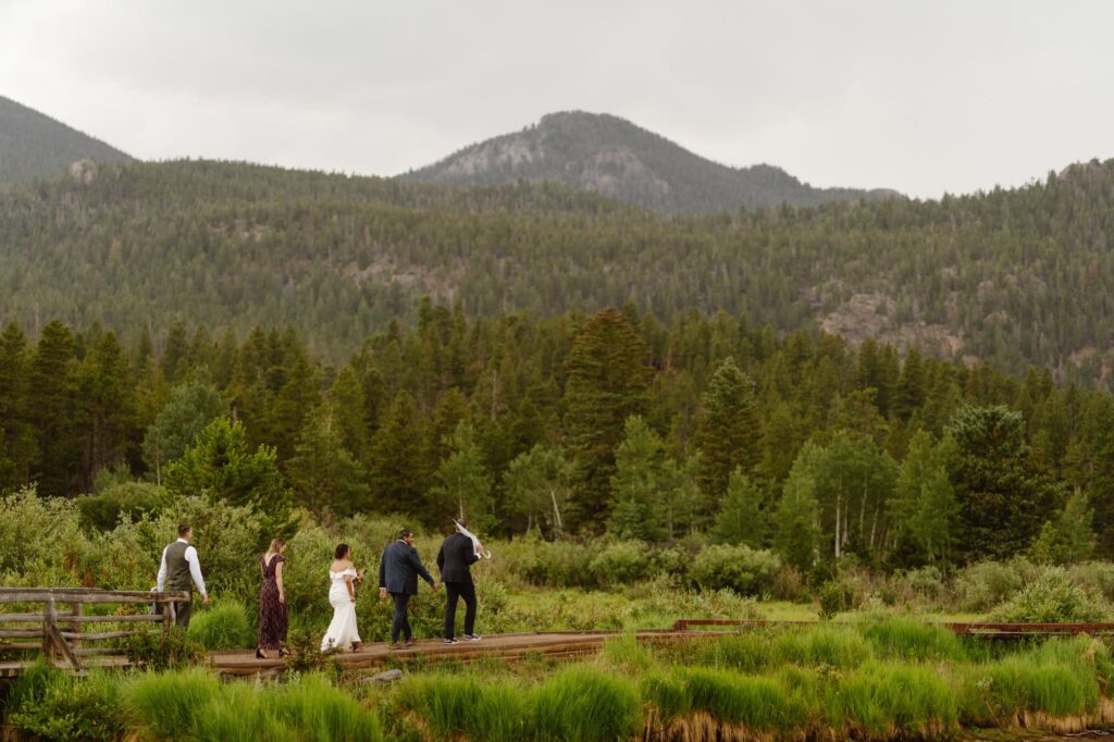 Bridal party at Lily Lake