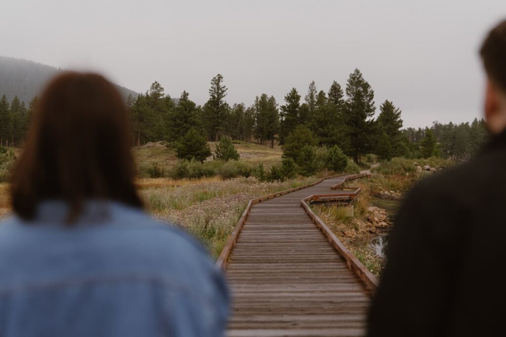 Boardwalk trail at Lily Lake