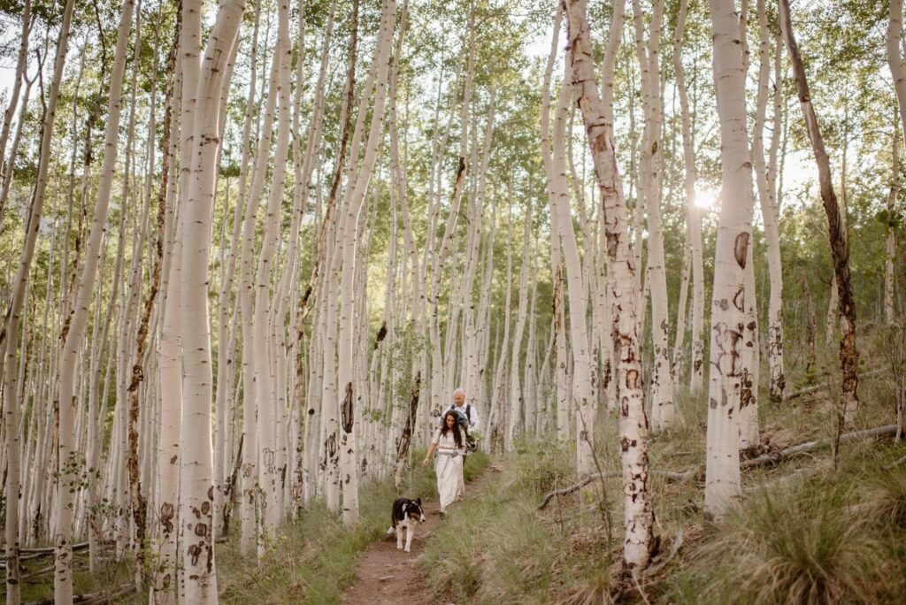 Twin Lakes elopement with a hiking trail and dog
