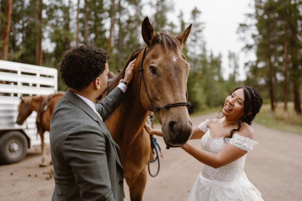Bride and groom with horses