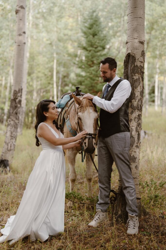 Bride and groom petting their horse