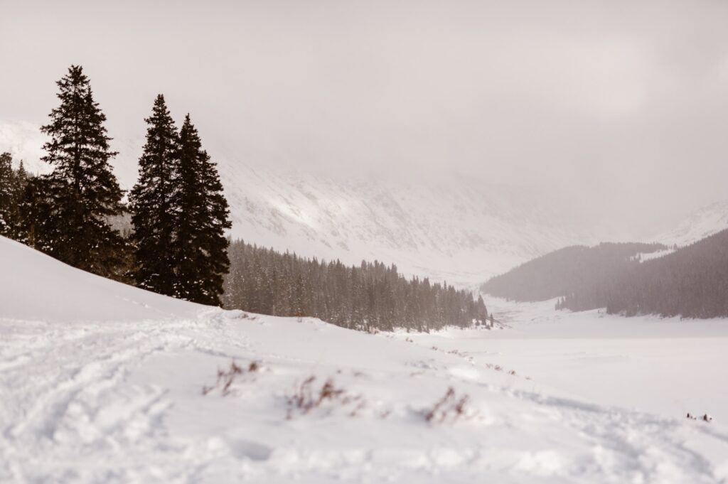 Clinton Gulch in February