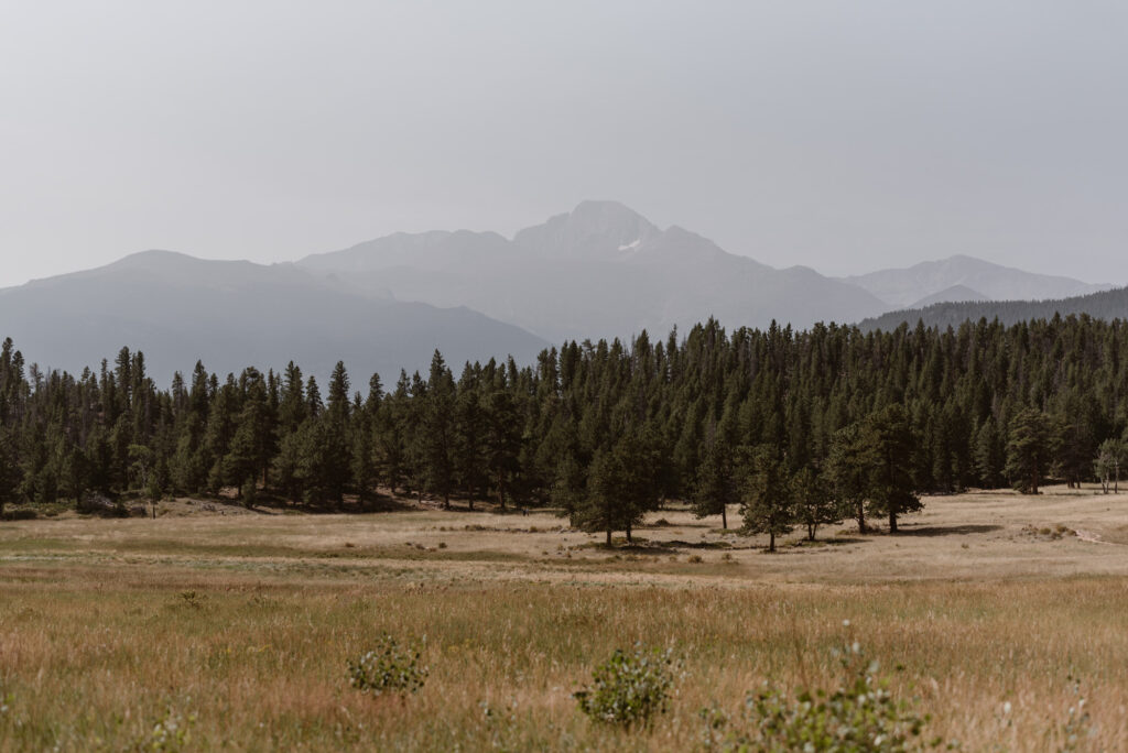 View of Upper Beaver Meadows in Rocky Mountain National Park on in August