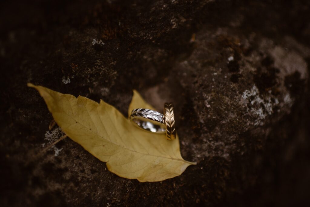 close up of wedding rings and an aspen leaf