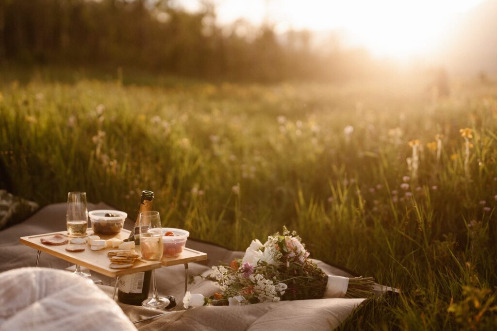 champagne and charcuterie elopement day picnic