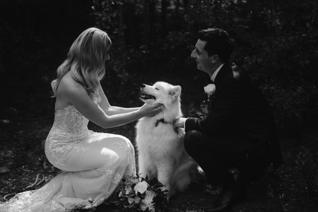 bride and groom with their samoyed