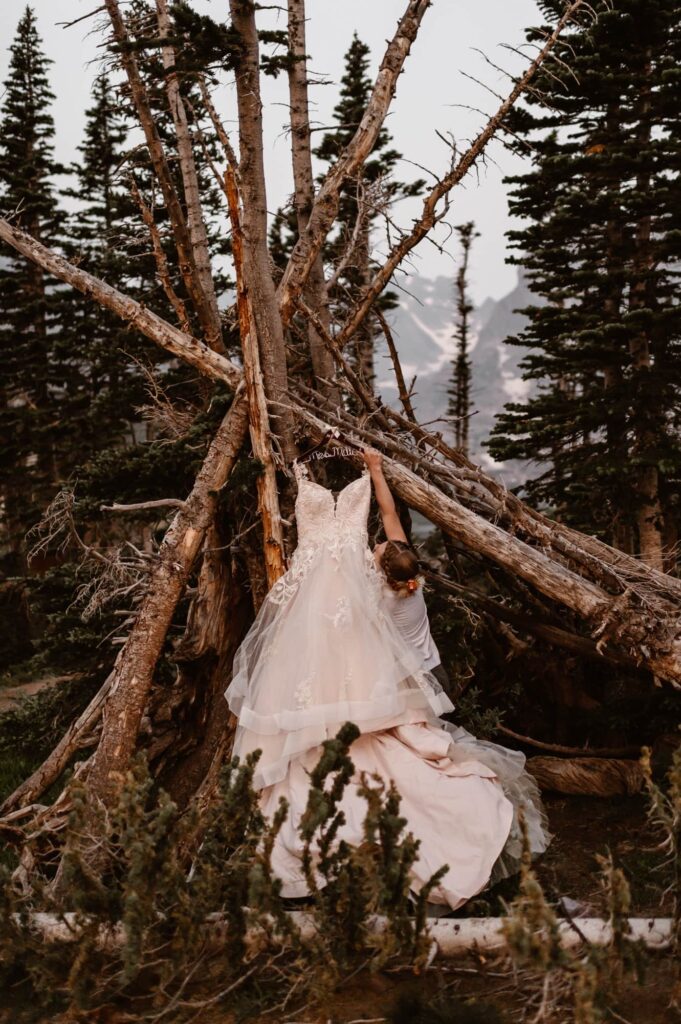 wedding dress hanging in the trees beside a mountain lake
