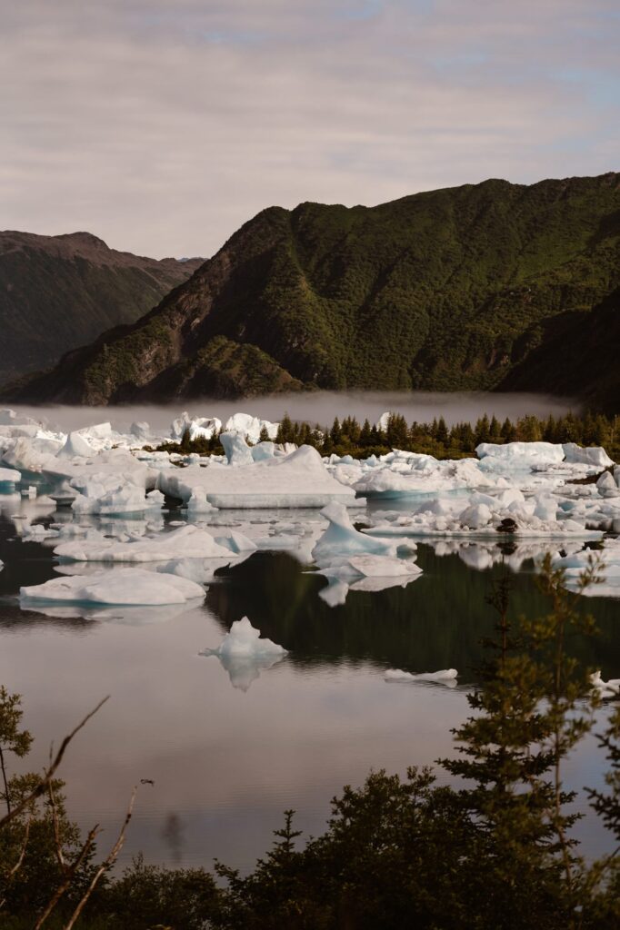 Icebergs in Bear Glacier lagoon