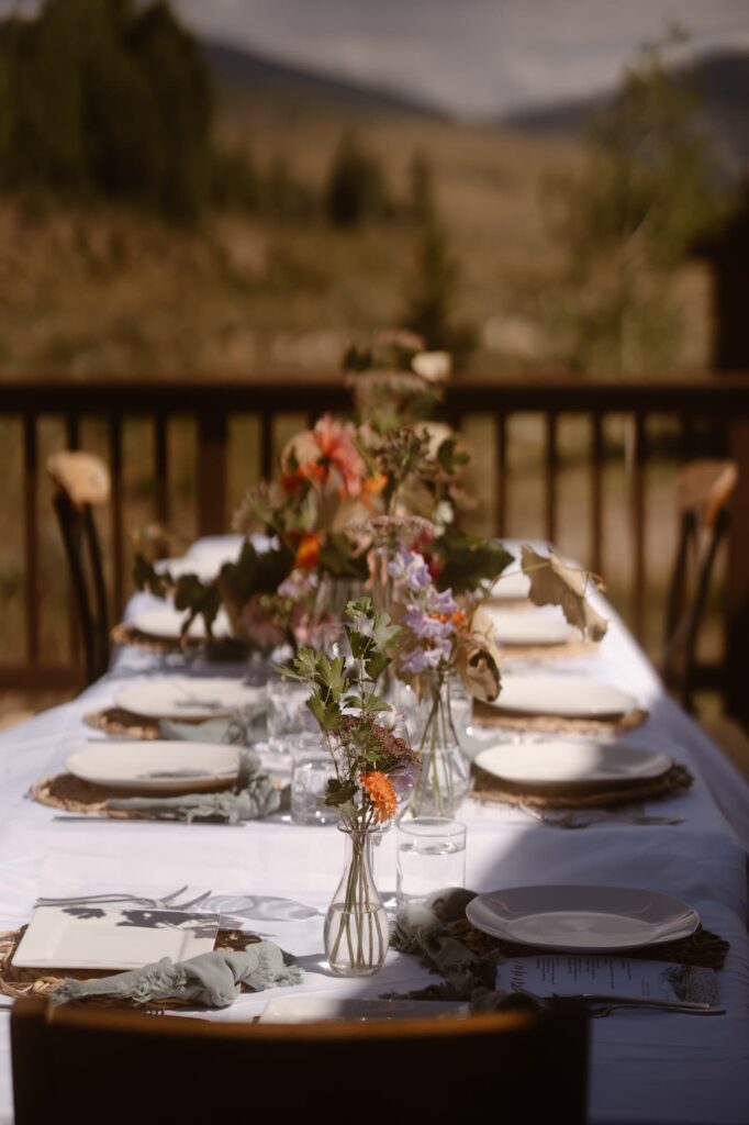 Micro wedding reception at Airbnb in Crested Butte