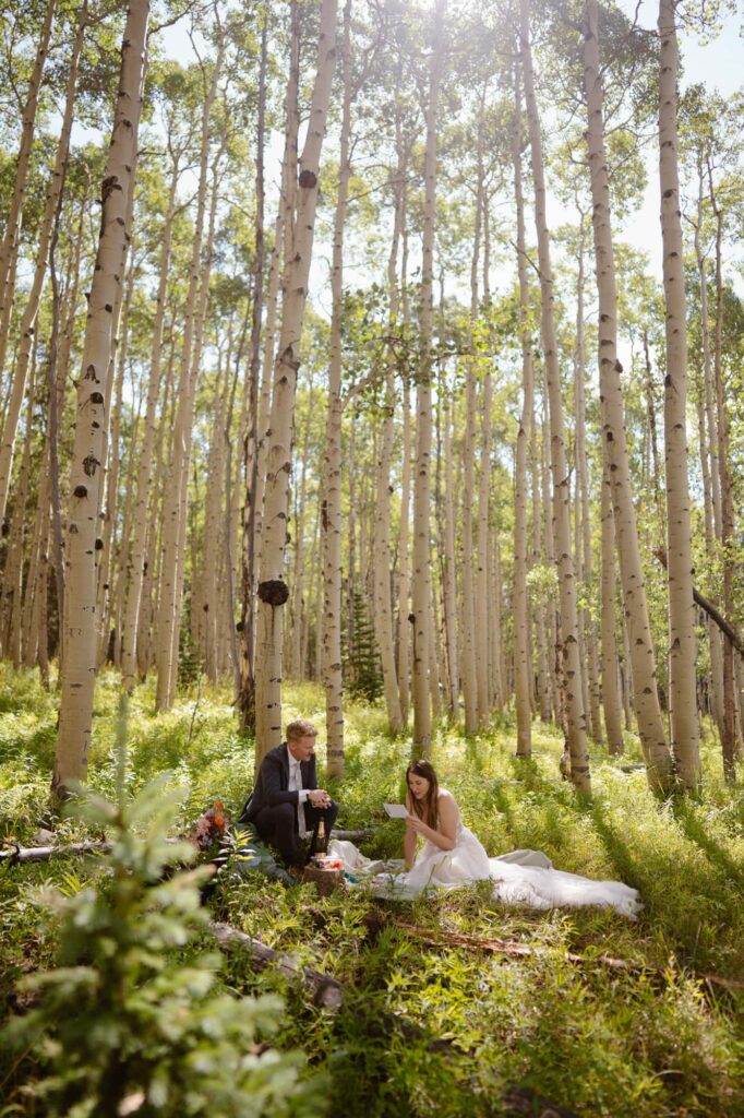 Bride and groom in aspen grove in Crested Butte, Colorado