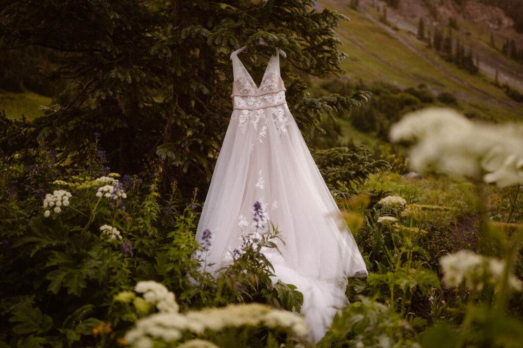 Wedding dress hanging from a pine tree