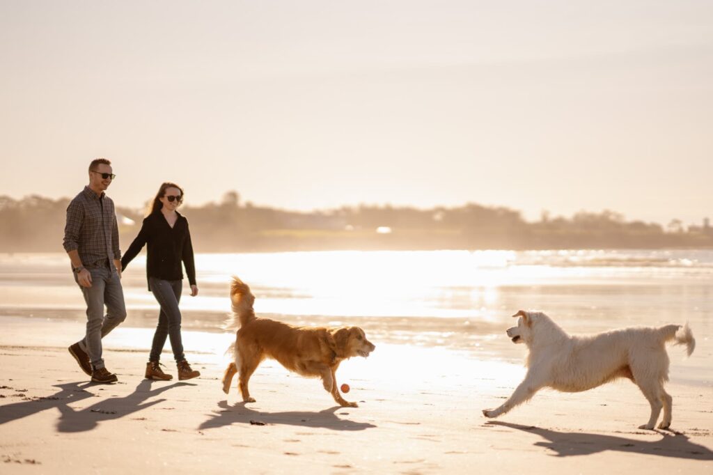 Couple walking with dogs along the beach