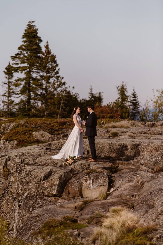Couple getting married on the rocky shore