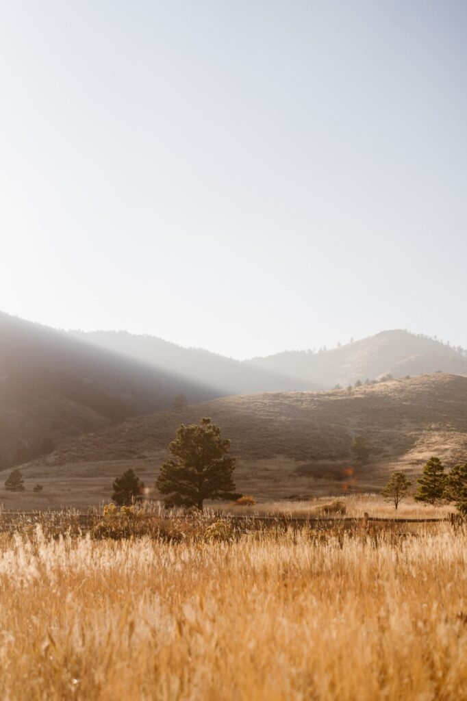 View of hazy mountains and tall yellow grass at Lory State Park
