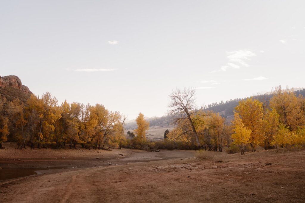 View of Lory State Park in the Autumn