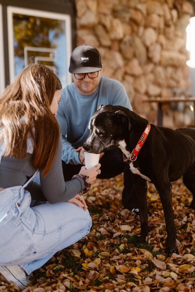 Dog enjoying his pup cup during a lifestyle portrait session