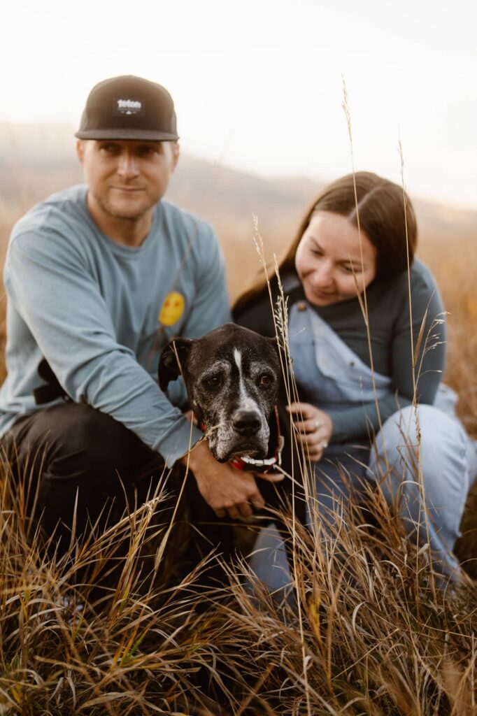 Senior dog portrait in a field with parents