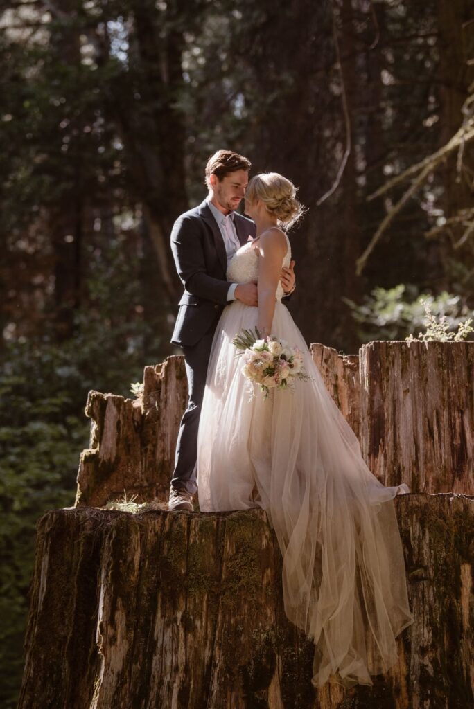 Bride and groom standing on a tree trunk in California forest
