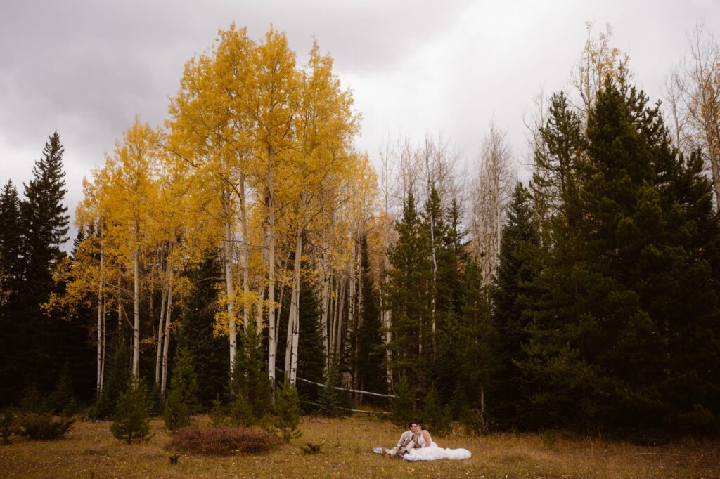 Bride and groom in a meadow in Rocky Mountain National Park during October